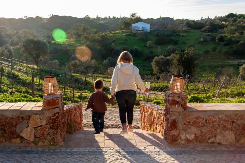 Porches: Algarve Vineyard Tour and Wine Tasting Experience - Guided Tour with Passionate Hosts