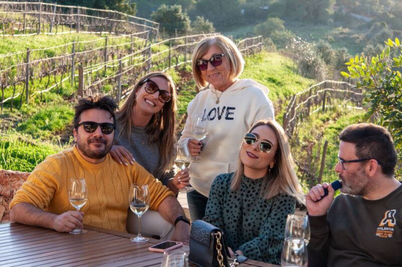 Porches: Algarve Vineyard Tour and Wine Tasting Experience - Practical Details for the Vineyard Experience