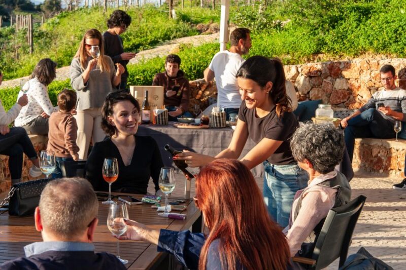 Porches: Algarve Vineyard Tour and Wine Tasting Experience - Pricing, Flexibility, and Cancellation Policy