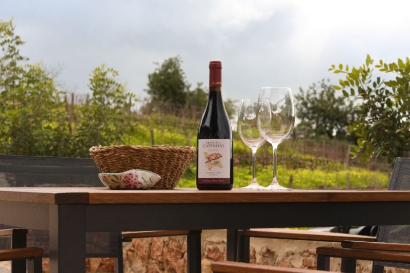Porches: Algarve Vineyard Tour and Wine Tasting Experience - What Makes This Tour Stand Out from Others