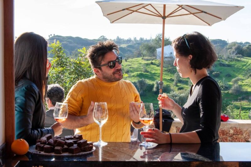 Porches: Algarve Vineyard Tour and Wine Tasting Experience - Who Should Consider This Vineyard Tour
