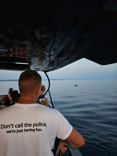 Pore Private Sunset Dolphin Cruise on Yacht - The Customizable Atmosphere Onboard