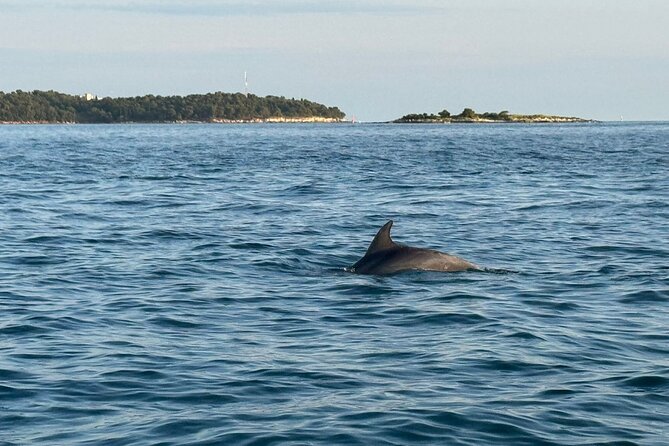 Porec Sunset Shared Cruise on Speedboat with Dolphin Sightseeing - Why This Tour Stands Out in Porec