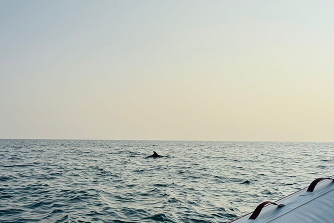 Porec Sunset Shared Cruise on Speedboat with Dolphin Sightseeing - The Sum Up: A Perfect Sunset with Dolphins in Porec