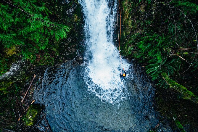 Port Alice Canyoning Activity - Who Will Enjoy This Adventure?