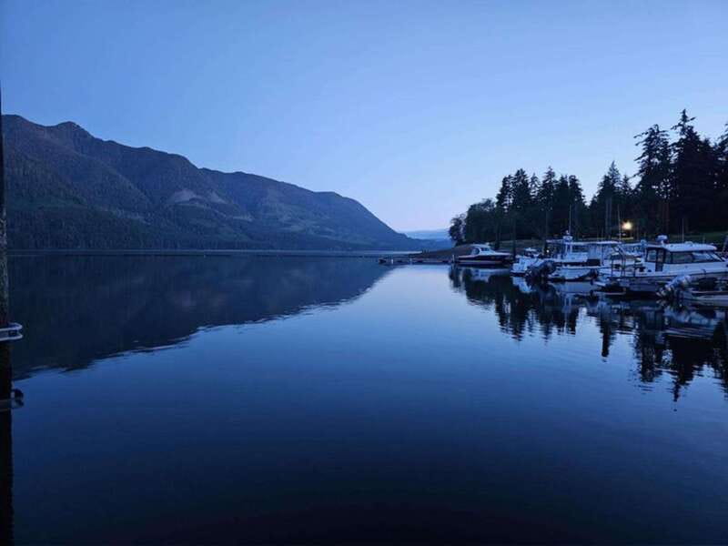 Port Alice: Sea Otter and Wildlife Tour - 6 hour with lunch - The Sum Up: An Authentic Wildlife Experience in Port Alice