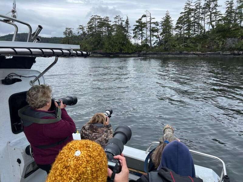 Port Alice: Sea Otter and Wildlife Watching Boat Tour - Prime Animal Sightings: Whales, Otters, and More