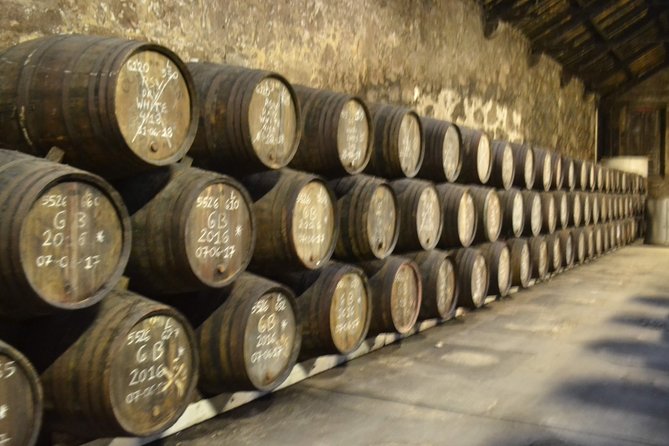 Port and Douro Wine Walking Tour With 10 Tastings - Practical Details: Meeting Point and Pacing