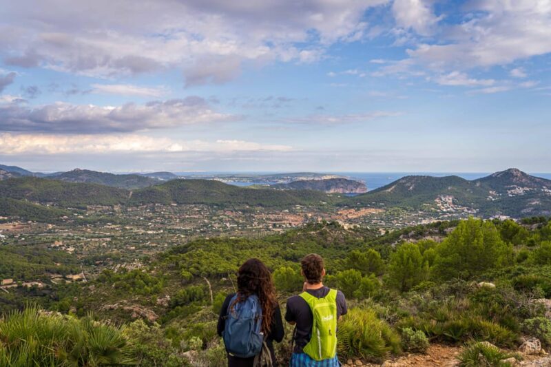 Port Andratx: Hiking Tour into the sunset to Sant Elm - Experience a Guided Sunset Hike from Port Andratx to Sant Elm for $78