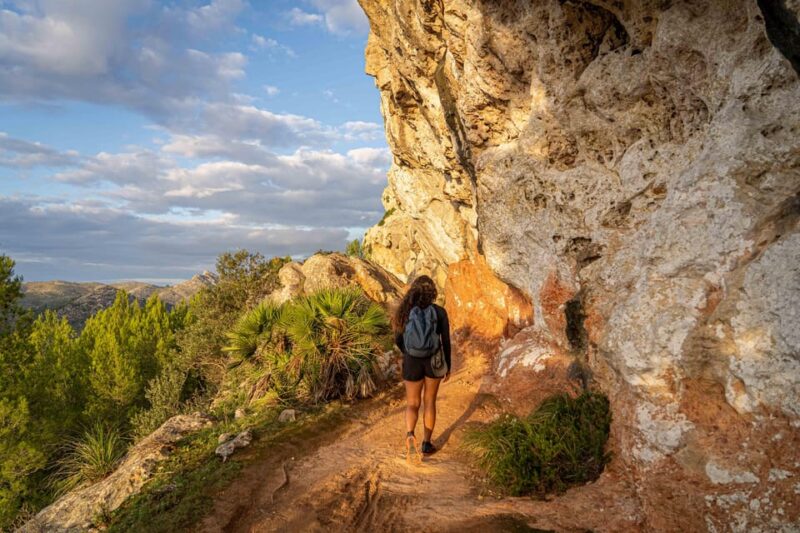 Port Andratx: Hiking Tour into the sunset to Sant Elm - Logistics: Meeting Point and Included Transfers