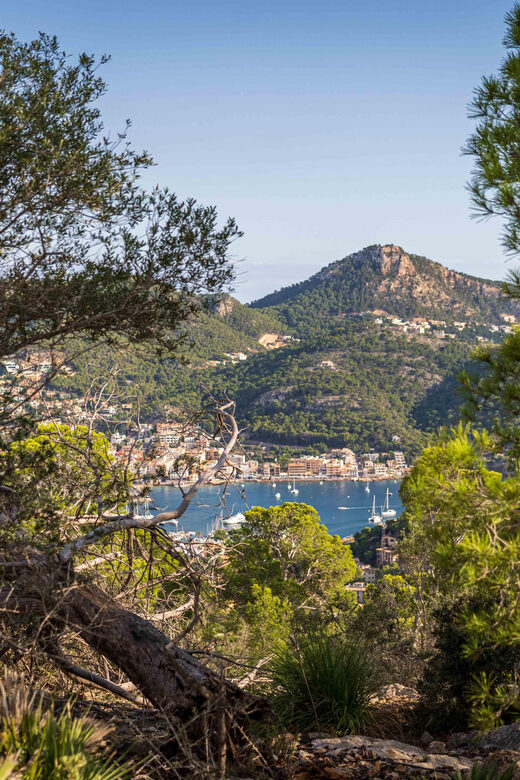 Port Andratx: Hiking Tour into the sunset to Sant Elm - What to Bring for a Comfortable Experience