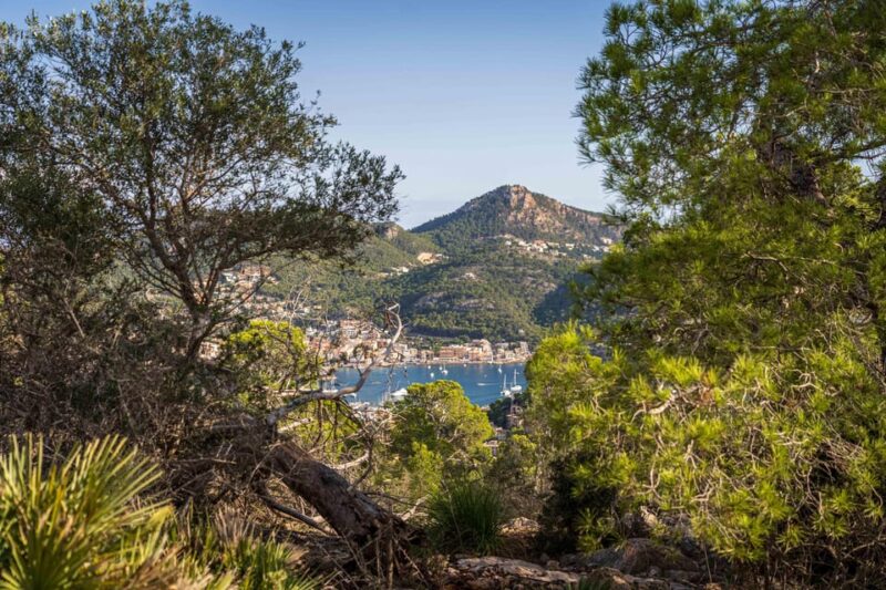 Port Andratx: Hiking Tour into the sunset to Sant Elm - Physical Requirements and Accessibility
