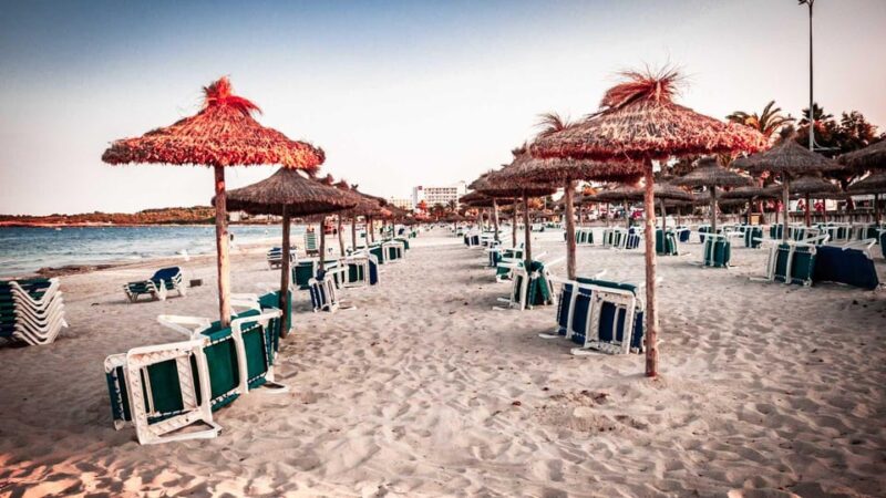 Port d'Alcudia: Meet the Magical Creatures,family game &walk - Key Points