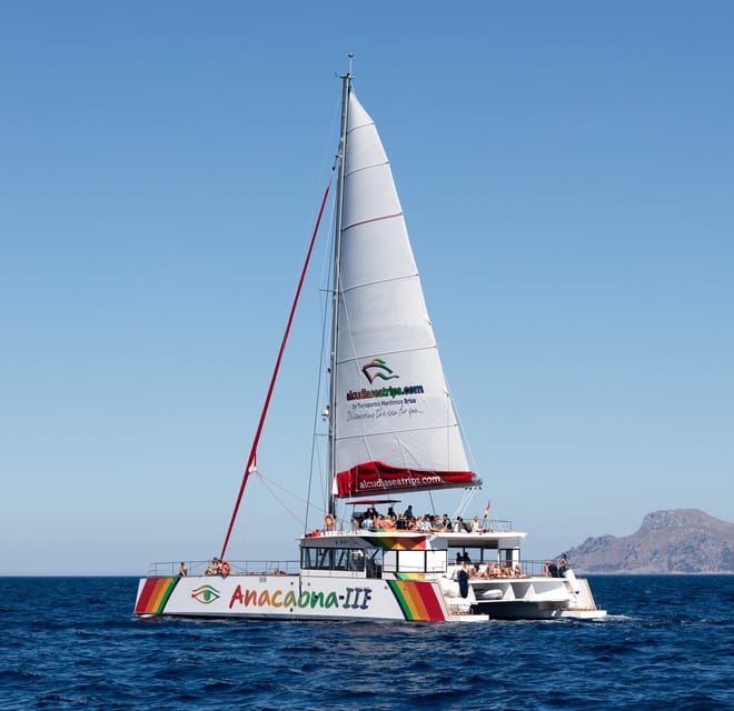 Port d'Alcudia: North Coast Catamaran Cruise with Meal - Family-Friendly Atmosphere and Water Fun for Kids