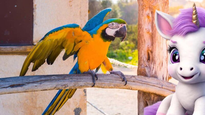 Port de Sóller: The Magical Creatures of Sóller, family game - Learning About Local Legends and Traditions
