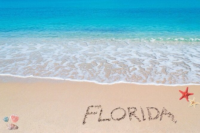 Port Everglades Private Transfer from Weston - Vehicle Features and Comfort