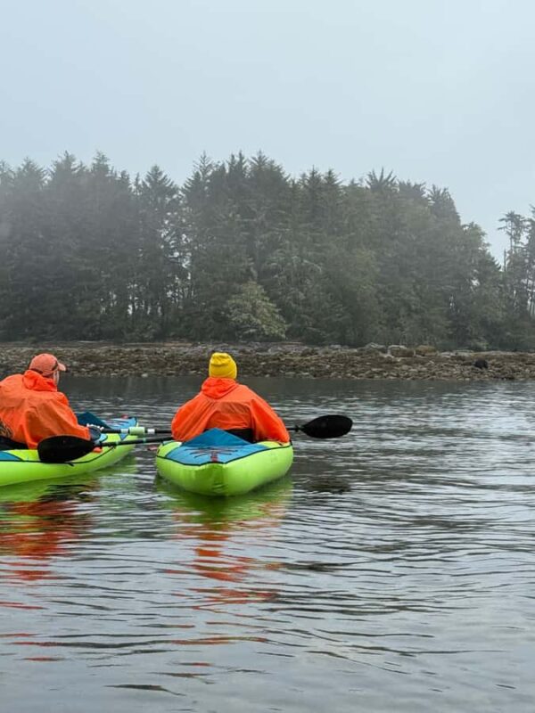 Port Hardy: Keogh River Bear/Wildlife Kayak Tour - Key Points