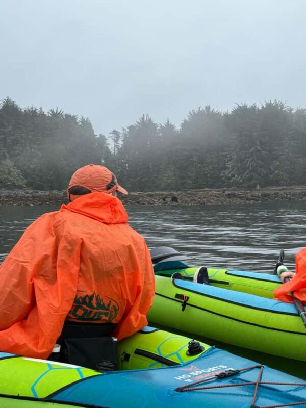 Port Hardy: Keogh River Bear/Wildlife Kayak Tour - Navigating the Keogh River Estuary for Prime Wildlife Viewing