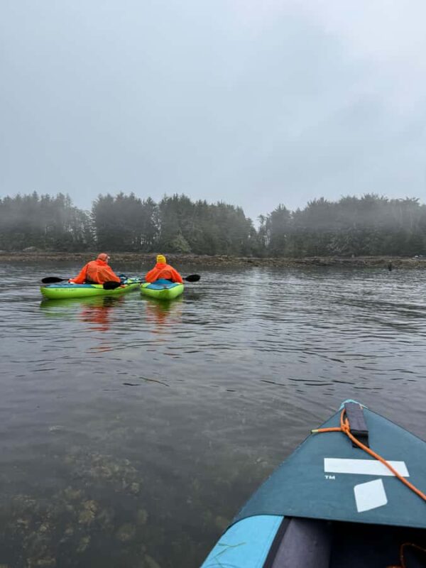 Port Hardy: Keogh River Bear/Wildlife Kayak Tour - What to Expect on the Guided Kayak Tour