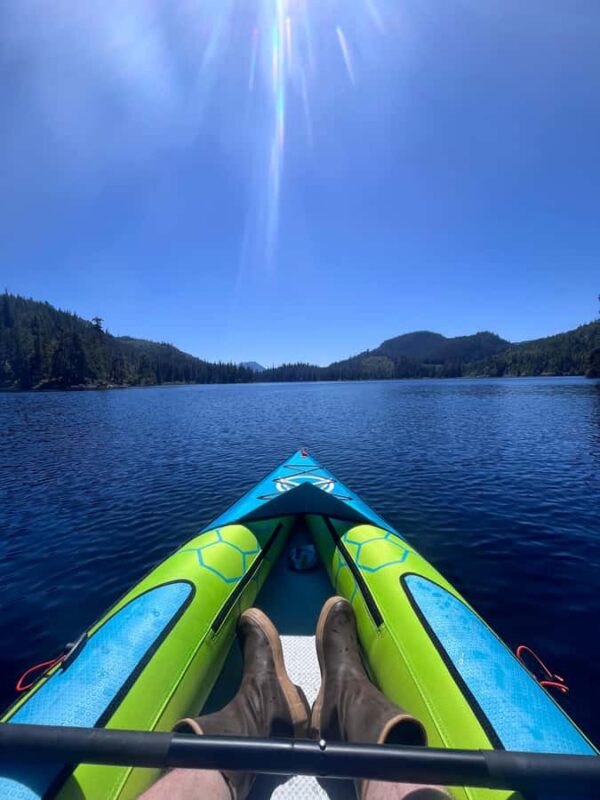 Port Hardy: Keogh River Bear/Wildlife Kayak Tour - Practical Tips for a Successful Trip
