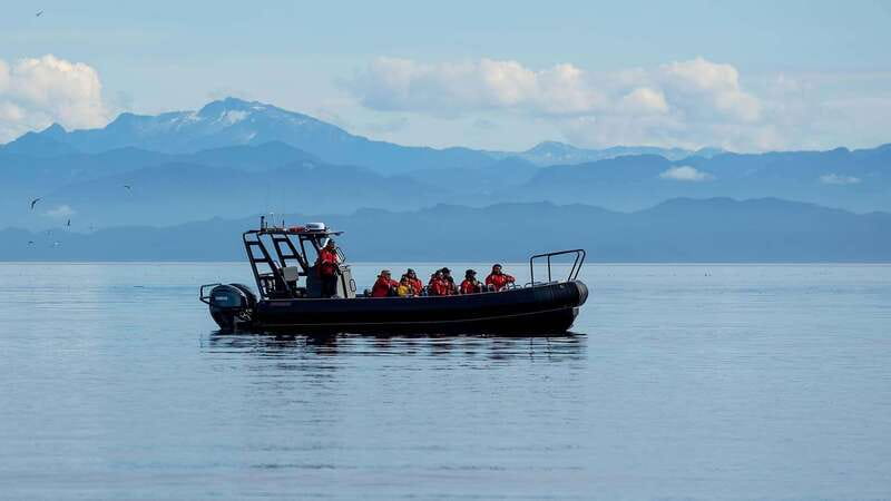Port Hardy: Sea Otter and Whale Watching - Key Points