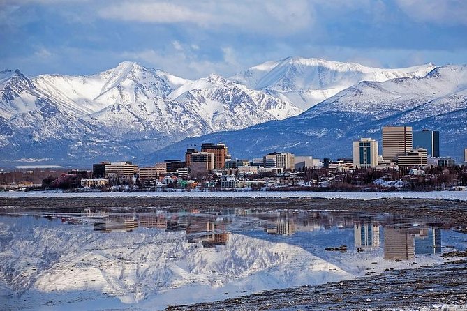 Port Homer Day Tour Wilderness, Wildlife and Beach Experience - Discover Homer’s Coastal Charm and Scenic Beauty