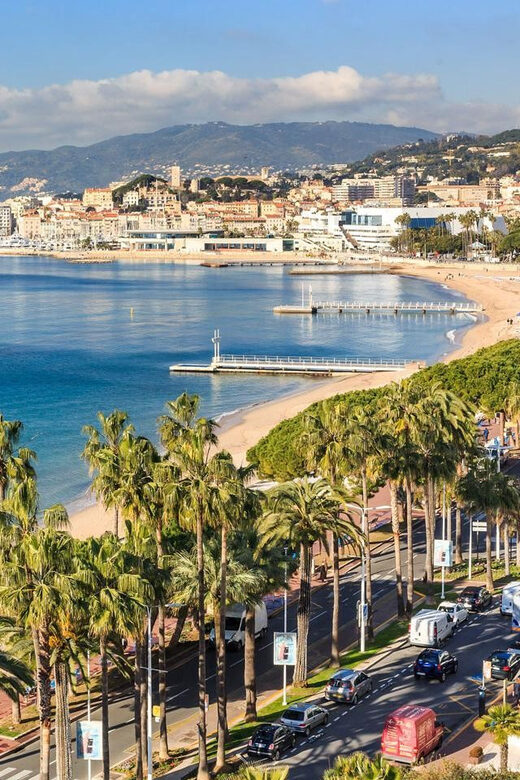 Port of Cannes : Personalized private tour - Key Points