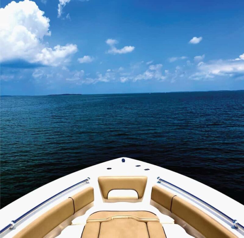 Port Royal Sound: Private Boat Charter with Dolphin Watching - Private Boat Tour in Beaufort: Dolphin Watching, Sunset Views, and Photography