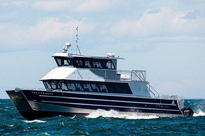 Port Townsend Wildlife Watching Cruise - Logistics: Meeting Point, Group Size, and Booking Tips