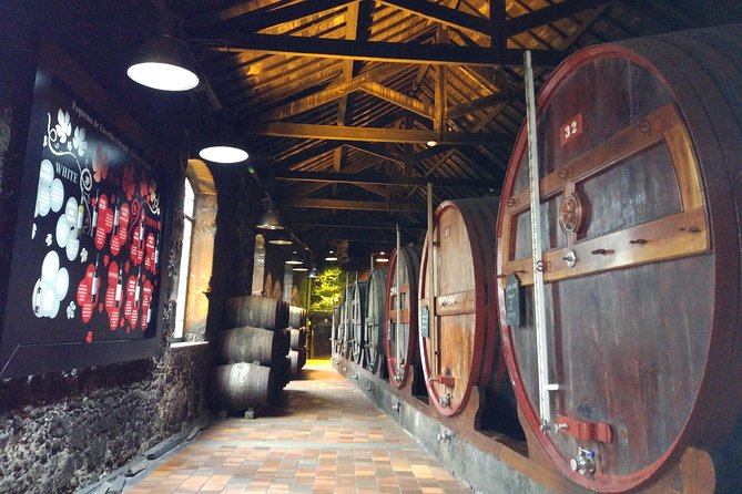 Port Wine Lodges Tour Including 7 Port Wine Tastings (English) - The Walking Route and Overall Pace