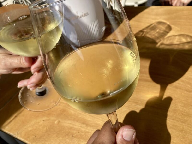 Port wine & wine walking tour with culture - max 8 pax - Combining Heritage, Culture, and Wine