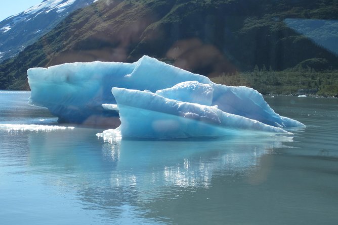 Portage Glacier Cruise and Wildlife Explorer Tour - Practical Details and Logistics