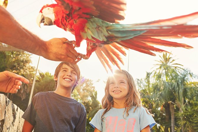 PortAventura Park Day Trip from Barcelona - How the Tour Starts in Central Barcelona