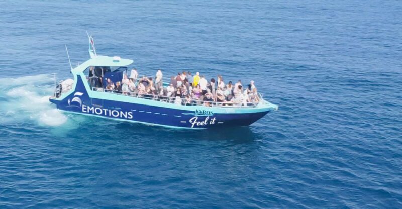 Portimão: 2.5 hours  Dolphins Watching  Biologist on Board - Portimão Marina: The Starting Point for Your Dolphin Adventure