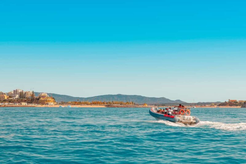 Portimão: Benagil Boat Tour & Marinha Beach & Carvalho Beach - The Cave and Beach Stops in Detail