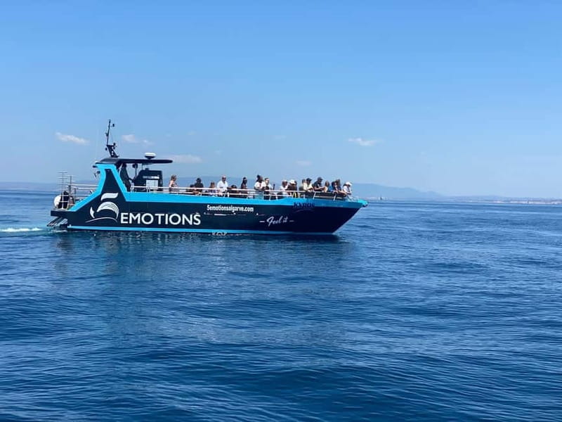 Portimão: Benagil Caves and Algarve Coast - The Famous Benagil Sea Cave and Its Unique Features
