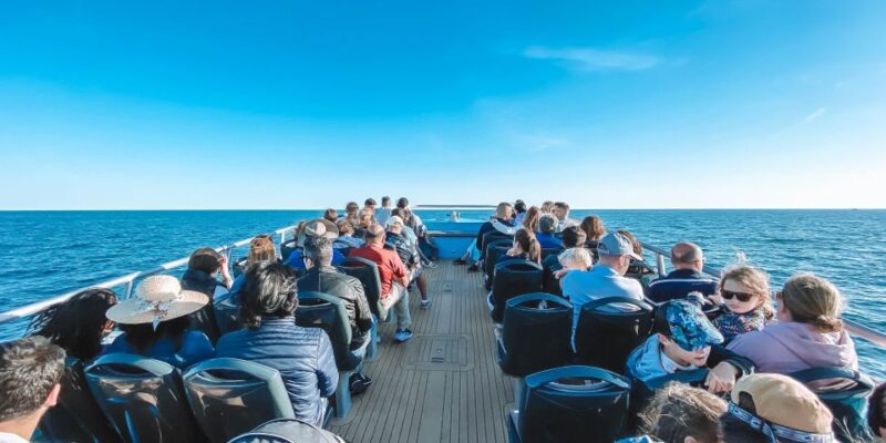 Portimão: Benagil Caves & Dolphins Watching with Biologist - Inside the Benagil Caves: Limited Time, Maximum Impact