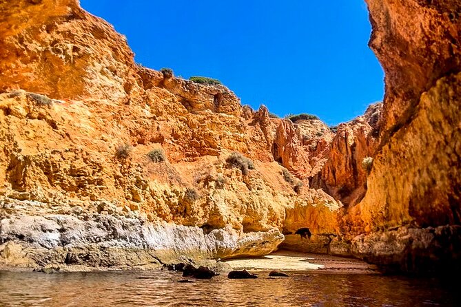 Portimão: Benagil Full Caves + Meal @ Allgarbe, a Local Gem - Discover the Algarves Coastal Wonders with a Full Caves Boat Tour and Meal