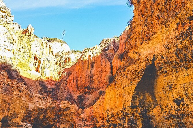 Portimão: Benagil Full Caves + Meal @ Allgarbe, a Local Gem - The Majestic Alfanzina Lighthouse