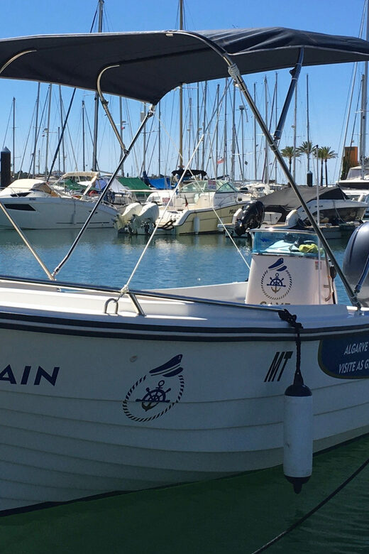 Portimão: Caves, Benagil and Algarve Coastline Boat Tour - The Small Group Advantage