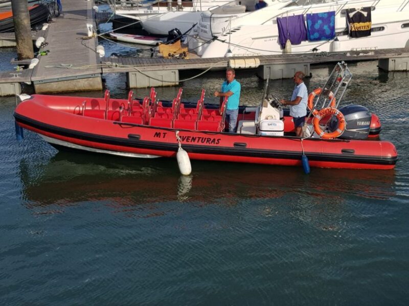 Portimão: Dophin Watching on the Algarve Coast - Key Points