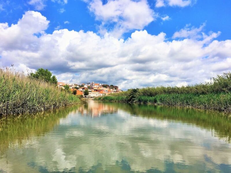 Portimão: Silves & Arade River History Tour on a Solar Boat - Comparing Similar Experiences