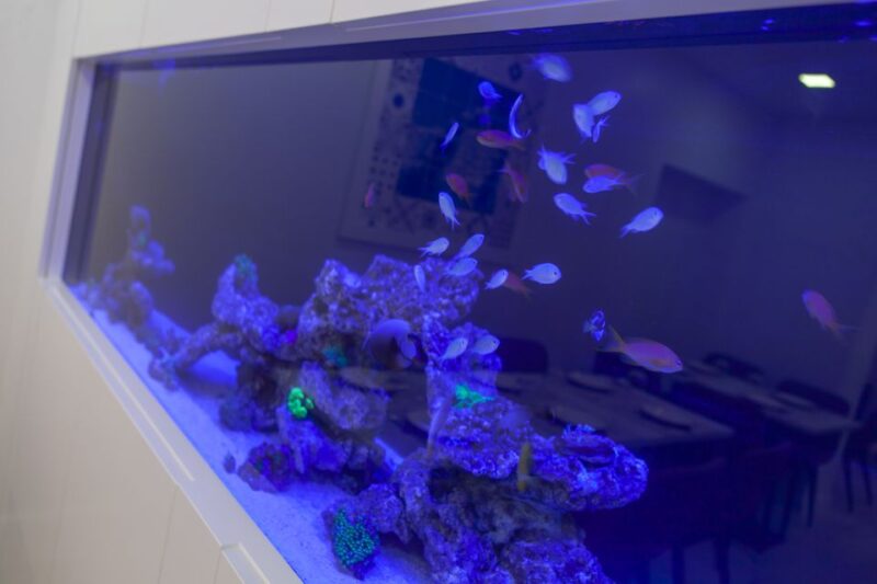 Portimão: Spanish Nights Sevillian Dance & Tapas Tasting - Who Will Most Appreciate This Experience?