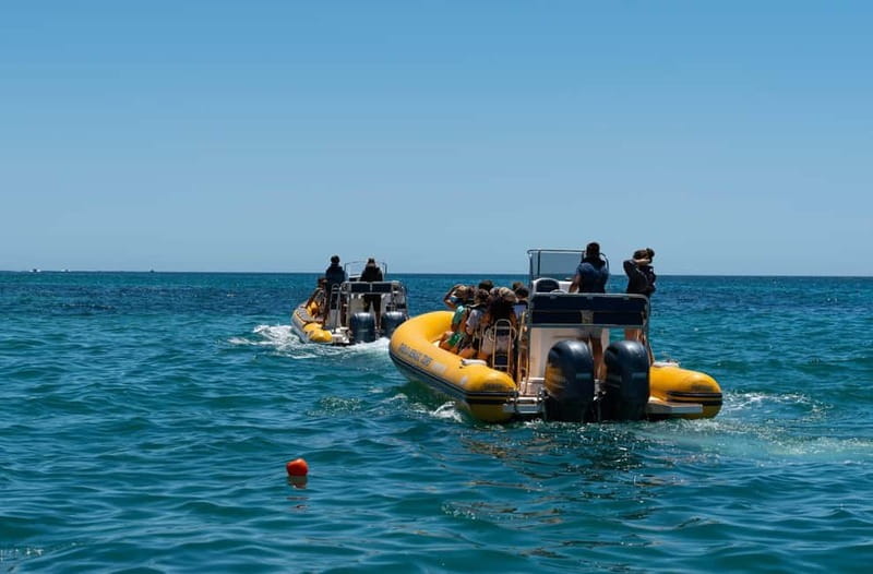 Portimão: Tour of the Benagil Caves - Swimming Stops and Ocean Activities