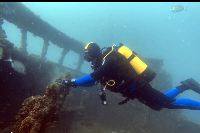 Portimão: Wreck Diving in the Ocean Revival Park - Key Points