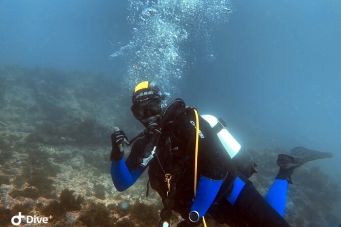 Portimão: Wreck Diving in the Ocean Revival Park - The Experience for Advanced Divers