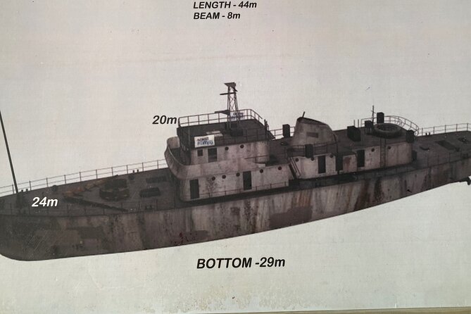 Portimão: Wreck Diving in the Ocean Revival Park - Reef and Night Dives: Flexibility for Divers