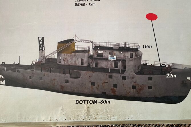 Portimão: Wreck Diving in the Ocean Revival Park - Practicalities: Meeting, Duration, and Group Size