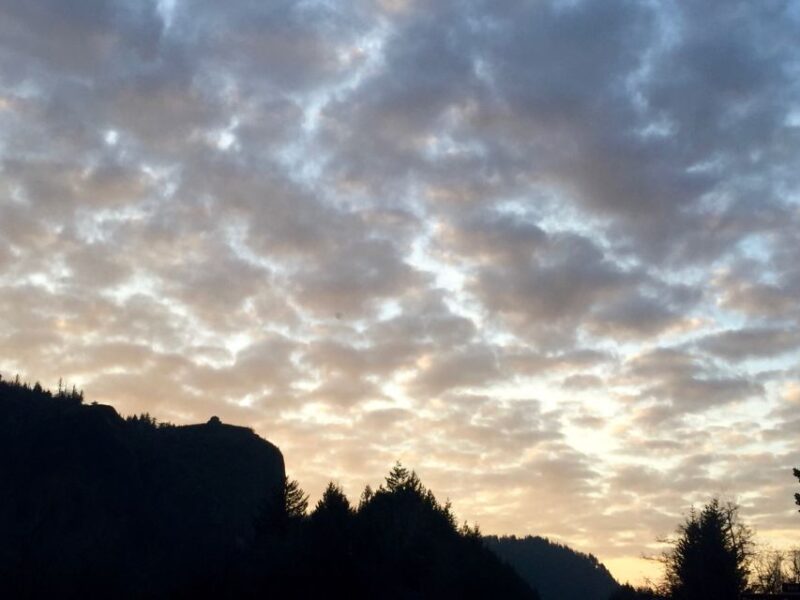 Portland: Columbia River Gorge 3-Hour Small Group Tour - What Makes the Columbia River Gorge Tour Unique