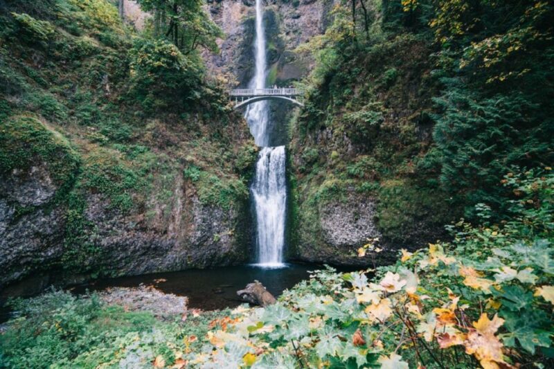 Portland: Columbia River Gorge Waterfalls Afternoon Tour - Key Points